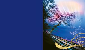 Nature | Iridescent Vibes | Enchantment in Moonlight and Sunset