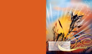 Silhouettes of dragonflies in magic rays, sparkles and hues of iridescent lines