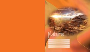 Sunset view from a rocky mountain with dried remnants of trees against the scattered clouds