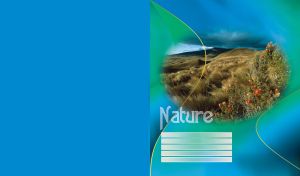 Dark green hills, juniper trees and orange juniper flowers, wild slope beach grass