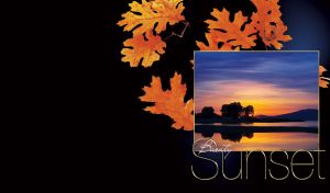 Sunset Splendors | Nature's Embrace | On black