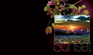 Beautiful sunset on valley with clouds on sky in a frame and flowering branch over