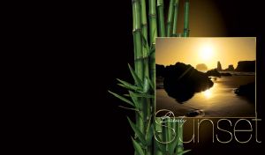 Beautiful sunset with sea rocks in a frame with a bamboo plant