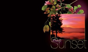 Beautiful sunset with spruce and mountain in a frame and flowering branch over