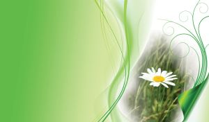 Elegant Elements | Nature's Vivid Canvas