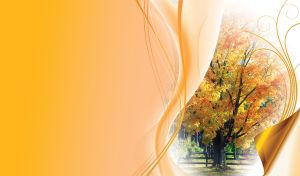 Elegant tree with yellow and orange leaves