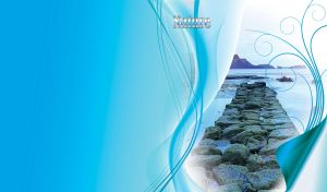 Elegant stone pavement path with water around