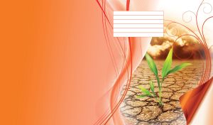 Elegant sprout in desert with clouds on sky