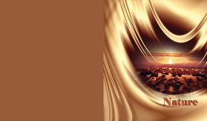 Nature lake coast with sunset in the background