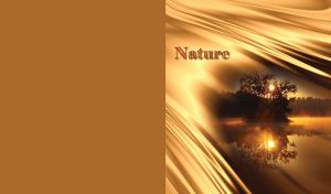 Nature tree in the lake with sunset behind a tree