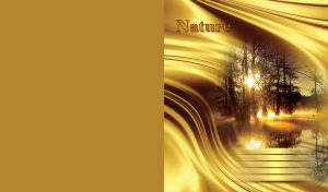 Nature forest lake with sun rays through tree