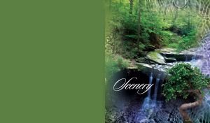 Beautiful watery view of scenery waterfall with green trees