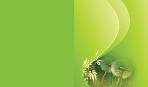 Natural Hues | Nature's Palette on Tonal Backdrops