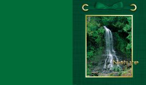 Nature | Scenic Landscapes and Tranquil Waters Framed on Texture with a Bow