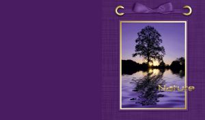 Tree on the river with beautiful nature and sun rays