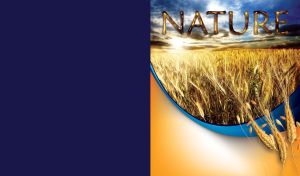 Nature | Scenic Beauty with Themed Elements