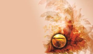 Peach background with floral elements and miniature window showing poppy field.