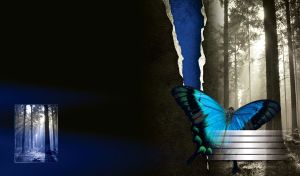 Blue butterfly on the background of a black-and-white photograph of a forest