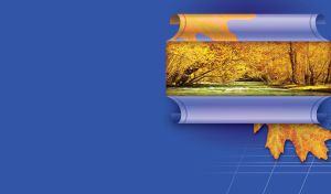 Nature Unfolded | Unveiling the Seasons Behind Wrapping Paper