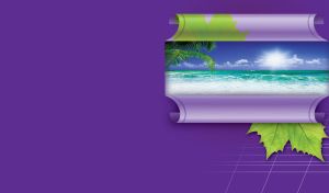 Purple wrapping paper reveals the image of a palm tree against the blue ocean