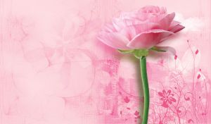 Pastel pink rose flower with plants behind