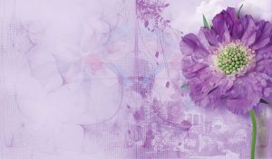 Pastel violet aster daisy flower with plant silhouettes