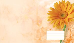 Orange gerbera daisy flower with plant silhouettes behind on pastel background