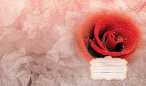 Scarlet rose merges with an pastel red background of translucent floral patterns