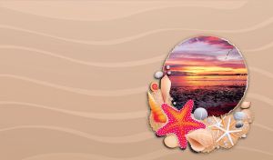 Purple-red sunset on a shell against the beige sandy waves