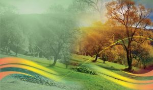 Green wavy lines over calm rural landscape with autumn trees and lawn.