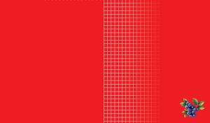 White checked on a red background and realistic blueberry bottom right