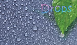 Drops | Colorful Petals and Fruit against Nature's Dew Texture