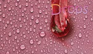 Water drops from a red leaf