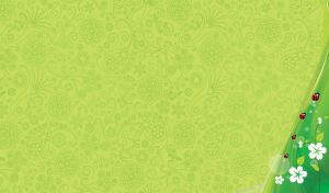 Ladybugs walk on green bokeh surface on lime green seamless floral pattern