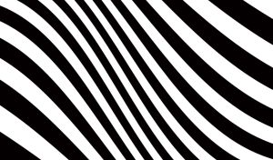 Black and white asymmetrical pattern in zebra style
