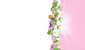 Snail crawls on the white cloud in the sunbeams of pastel pink sky