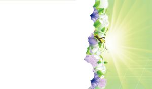 Grasshopper sits on the white cloud in the sunbeams of pastel green sky