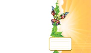 Vivid butterfly flies by the white cloud in the sunbeams of pastel orange sky