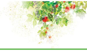 Watercolor painting of flowers with green leaves in sunlight on a white canvas