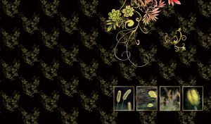 Four miniatures of leaves and plants with water drops on black pattern