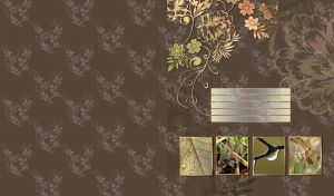 Four miniatures of plants with water drops on brown pattern