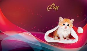 Cute ginger kitten in santa claus hat