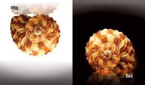 Black & White | Reflected Asymmetrical Layout Art | Mixed Categories