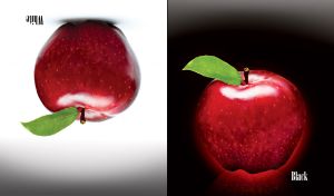 Red apple reflected on black and white backgrounds