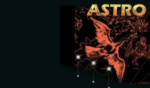 Flying cygnus and lyra star constellation zodiac astrology concept on black