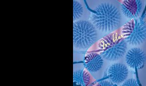 Purple flower heads of a globe thistle with a wavy overlay of blue