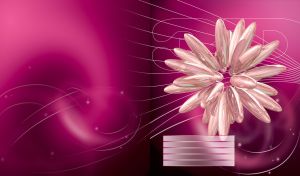 3D shiny pink chrome spheres arranged with flower petals on a plum background