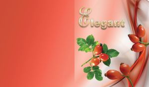 Elegant collection of ripe red rose hip and an abstract scarlet gradient wave