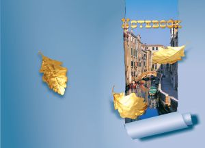 Town canal in Venice with some golden leaves on light blue
