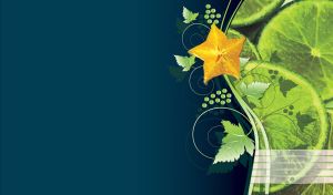 Green lime fruit slices close up with green grapes and yellow star flower on navy